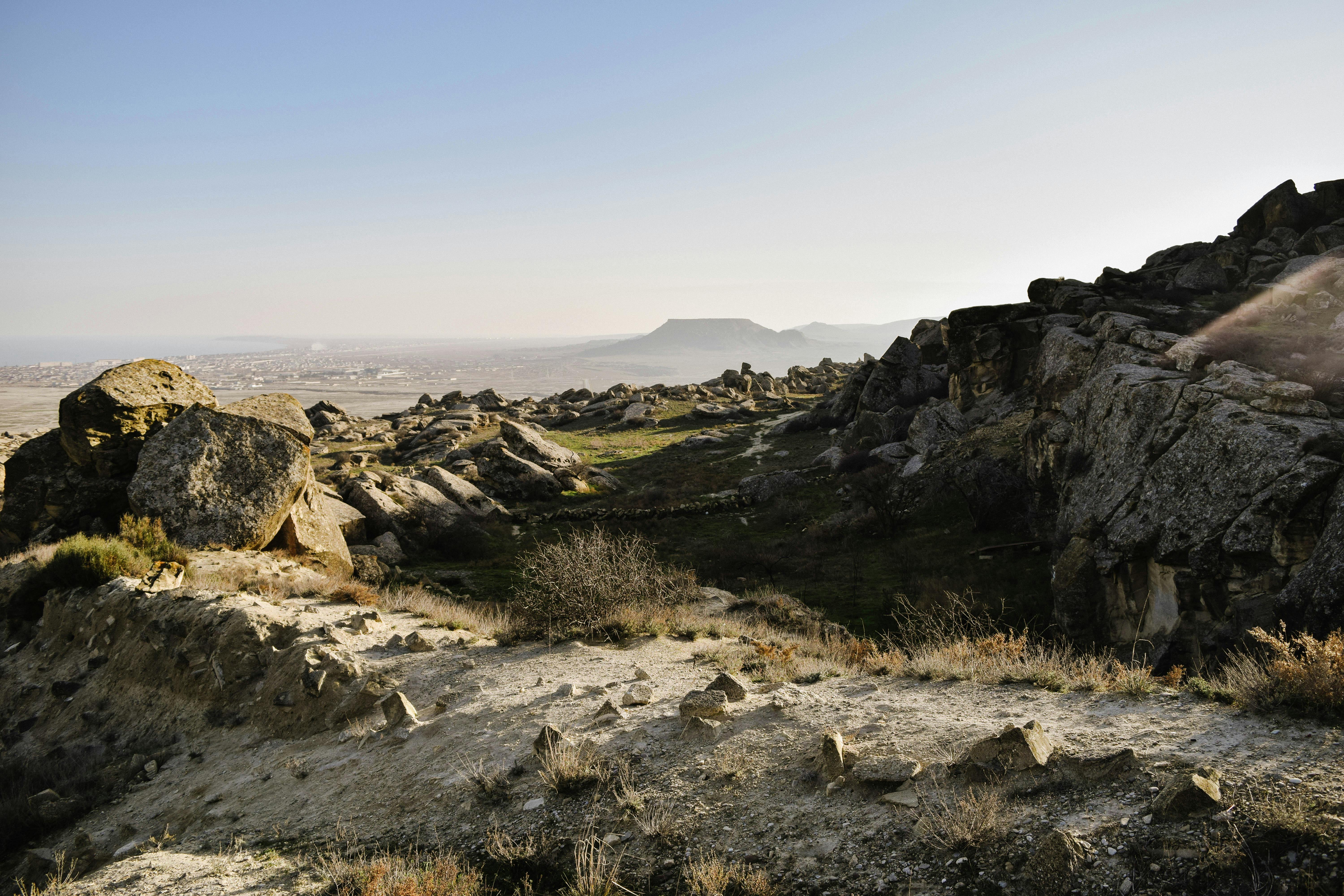 Landscape Detail