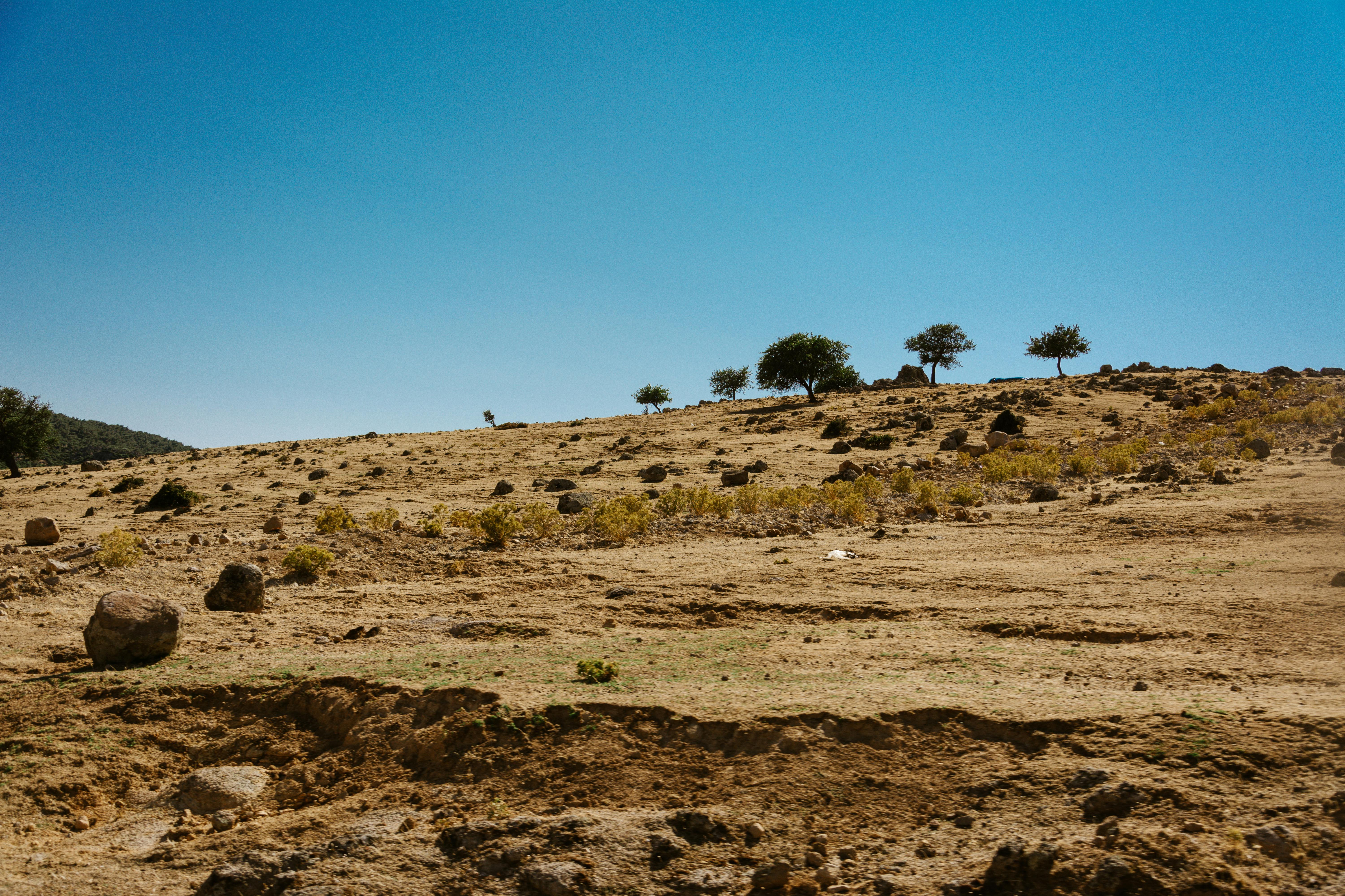 Hilltop Woodlands